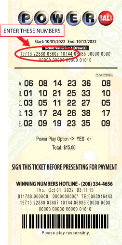 mockup of Powerball ticket