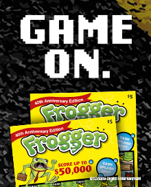 Idaho Lottery Raffle 2020