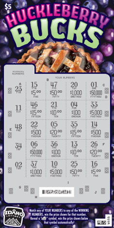 HUCKLEBERRY BUCKS scratch-off ticket